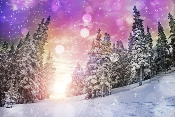 Winter landscape — Stock Photo, Image