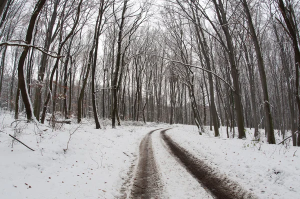 Paesaggio invernale — Foto Stock