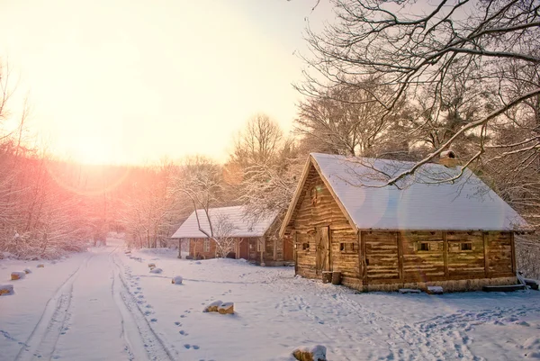 Hus i snow fairy forest — Stockfoto