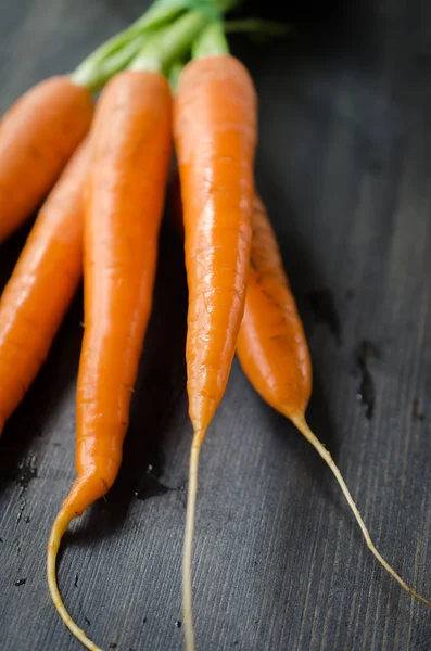 Fresh Young Carrots — Stock Photo, Image