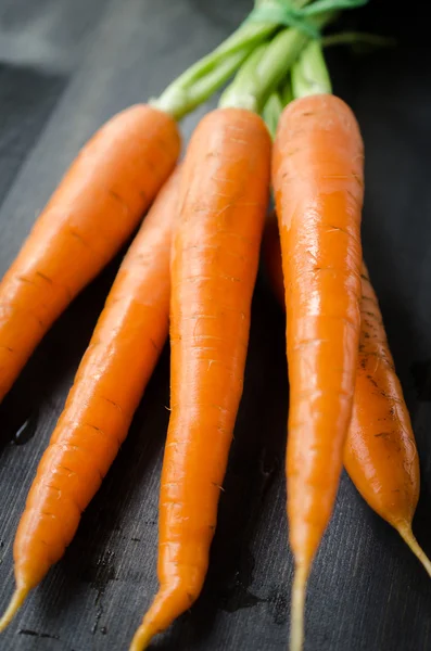 Zanahorias jóvenes frescas —  Fotos de Stock