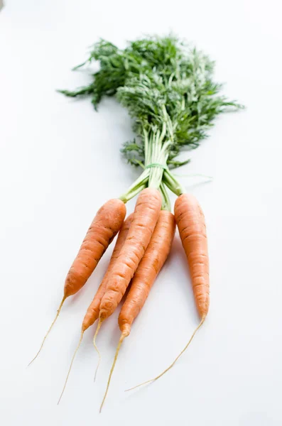 Zanahorias jóvenes frescas — Foto de Stock