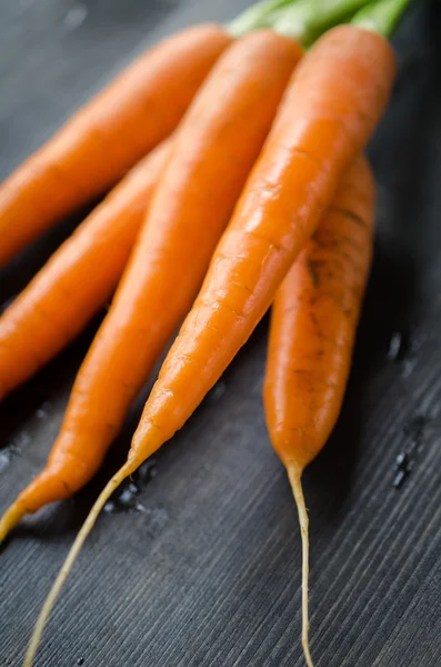Zanahorias jóvenes frescas —  Fotos de Stock