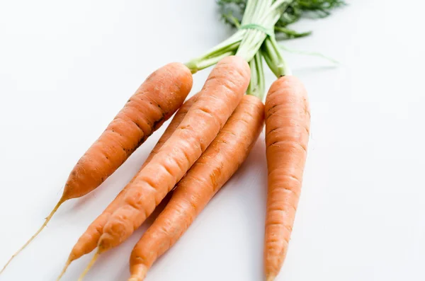 Fresh Young Carrots — Stock Photo, Image