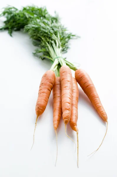 Jeunes carottes fraîches — Photo