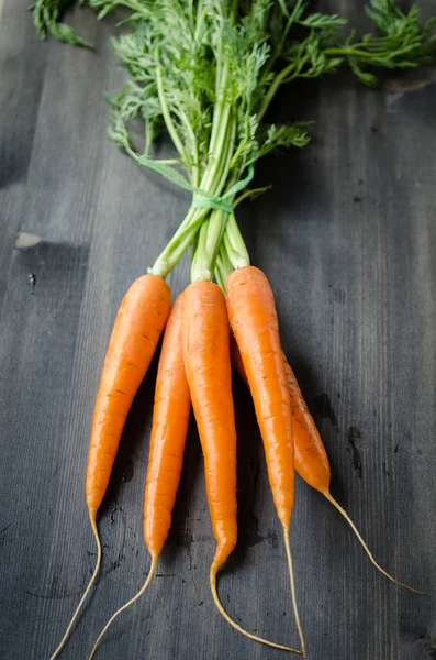 Zanahorias jóvenes frescas —  Fotos de Stock