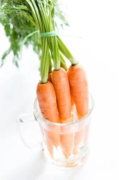 Fresh carrot fruits with green leaves in the glass — Stock Photo, Image