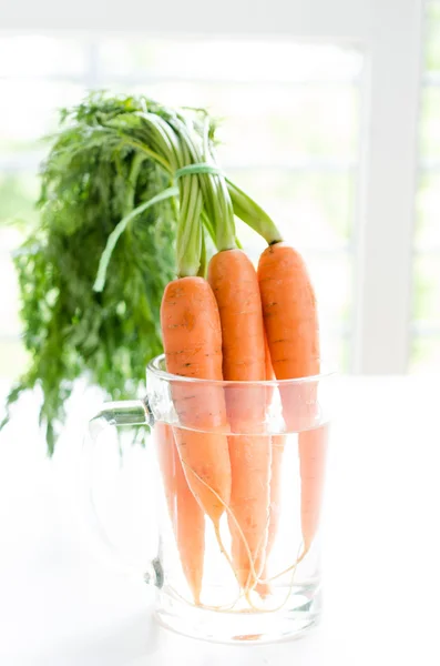 Buah wortel segar dengan daun hijau di kaca — Stok Foto