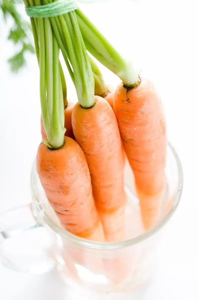 Tuoreet porkkanat, joissa vihreät lehdet lasissa — kuvapankkivalokuva