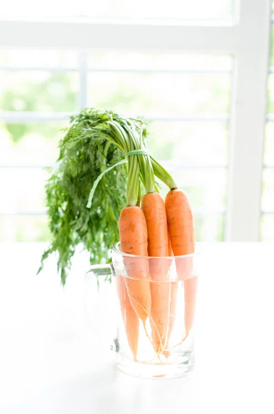 Frutti di carota fresca con foglie verdi nel bicchiere — Foto Stock