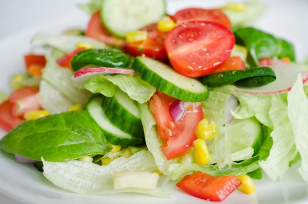 Ensalada — Foto de Stock