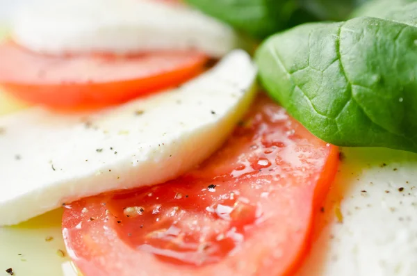 Classic caprese salad — Stock Photo, Image