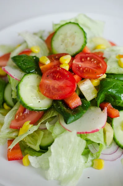 Sallad — Stockfoto