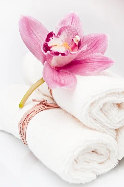 Blomma och handduk rullar-närbild — Stockfoto