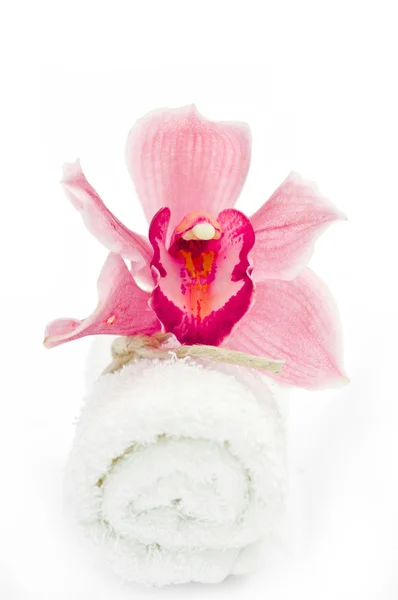 Flower and towel rolls-close up — Stock Photo, Image