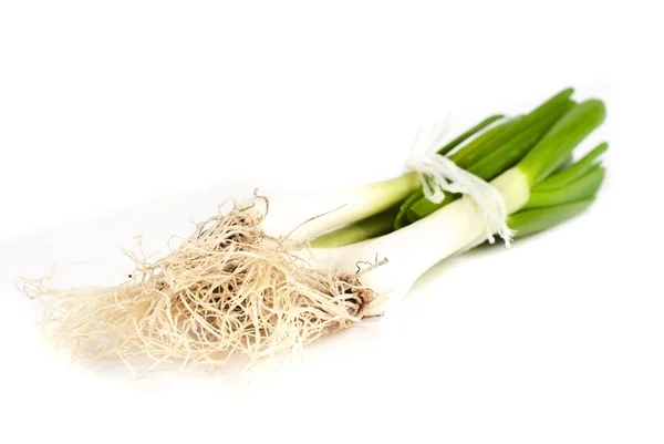 Spring onions — Stock Photo, Image