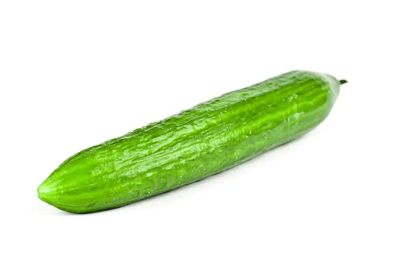 Cucumber isolated over white background. — Stock Photo, Image