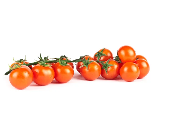 Red tomatoes isolated on white background — Stock Photo, Image