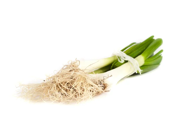 Spring onions — Stock Photo, Image