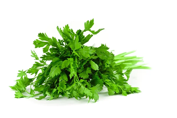 Bunch of parsley isolated on white background — Stock Photo, Image