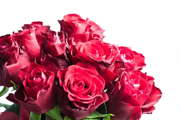 Roses Bunch — Stock Photo, Image