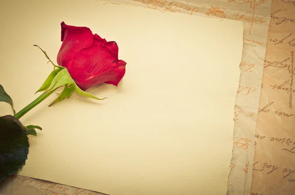 复古旧纸张背景与红玫瑰 — 图库照片
