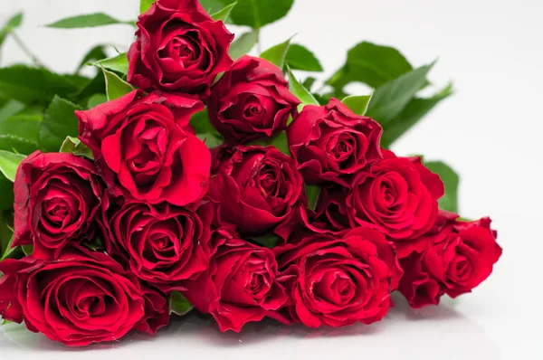 Bunch de rosas — Fotografia de Stock