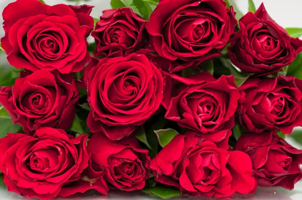 Bunch de rosas — Fotografia de Stock