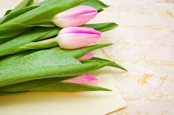 Roze tulpen op oude papier achtergrond — Stockfoto