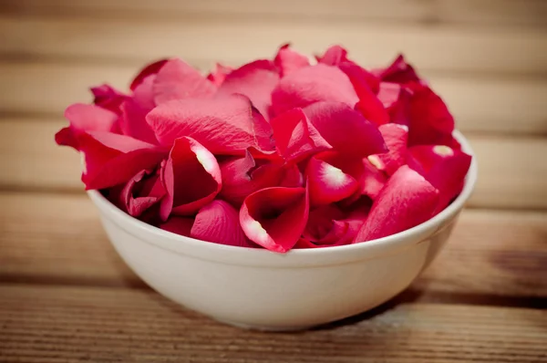 Rose petals spa — Stock Photo, Image