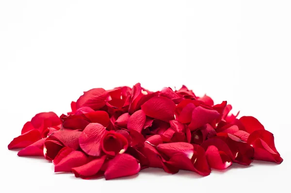 Red rose petals — Stock Photo, Image