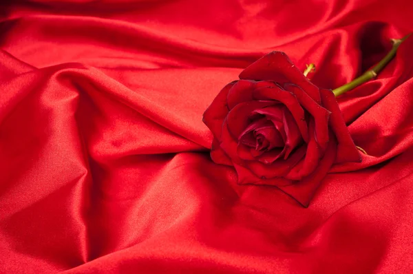 Perfecte silk rose op rood satijn — Stockfoto