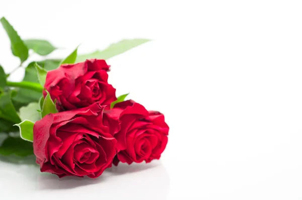 Roses rouges Images De Stock Libres De Droits