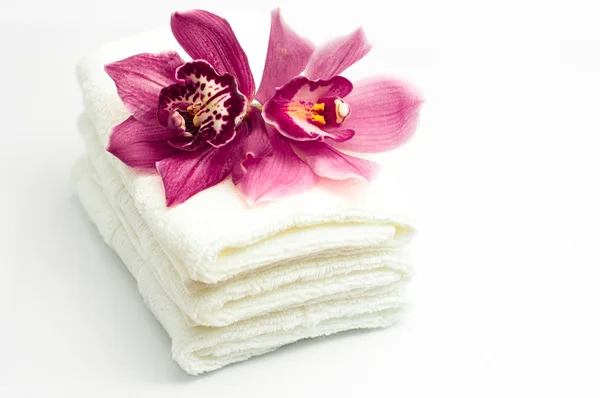 Цветы и полотенца — стоковое фото
