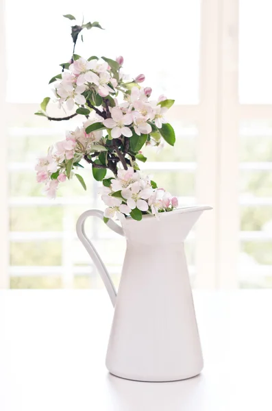 Witte cherry bloemen — Stockfoto