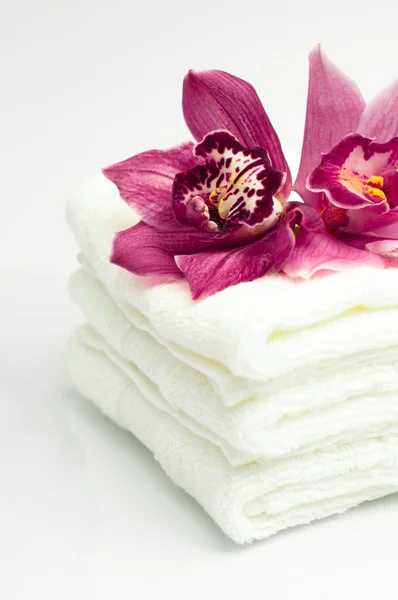 Flower and towels — Stock Photo, Image