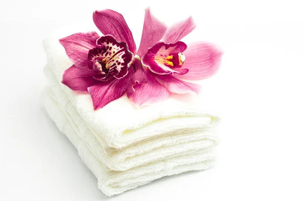 Blomma och handdukar — Stockfoto