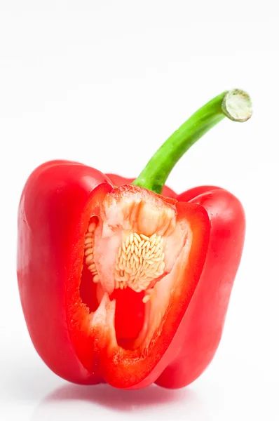 Pimiento rojo sobre fondo blanco —  Fotos de Stock