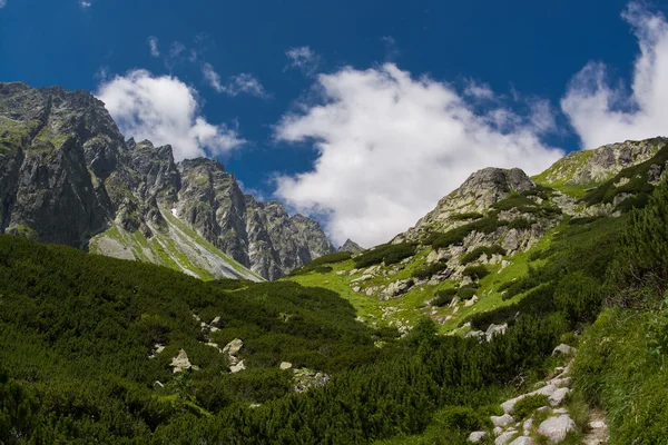 Güzel dağlar — Stok fotoğraf