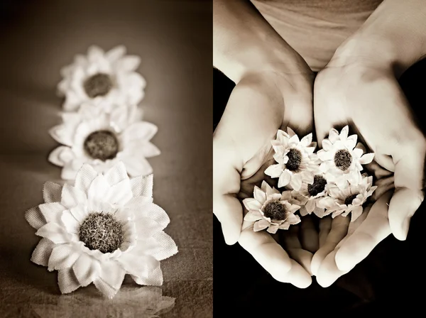 Hand with flowers in sepia tone — Stock Photo, Image