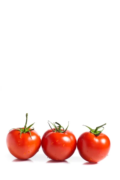 Rote Tomaten isoliert auf weißem Hintergrund — Stockfoto