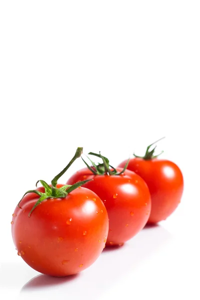 Tomates rouges isolées sur fond blanc — Photo