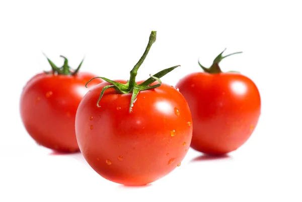 Red tomatoes isolated on white background — Stock Photo, Image