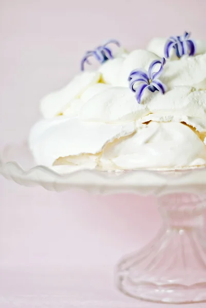 Pastel de merengue blanco — Foto de Stock