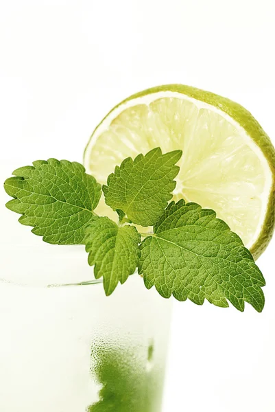 Mojito — Zdjęcie stockowe