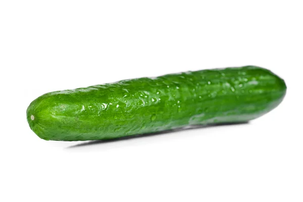 Fresh cucumber on white background — Stock Photo, Image