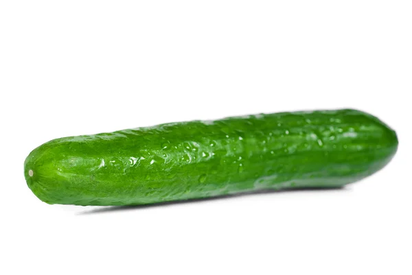 Fresh cucumber on white background — Stock Photo, Image