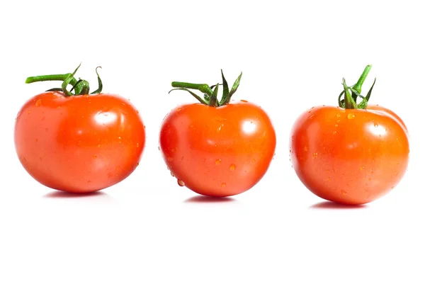 Rote Tomate Gemüse isoliert auf weißem Hintergrund — Stockfoto