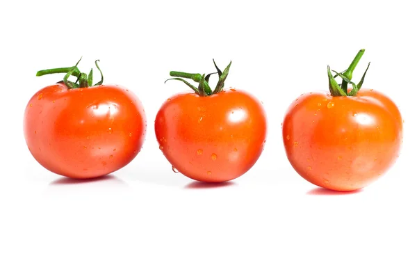 Vegetales de tomate rojo aislados sobre fondo blanco — Foto de Stock