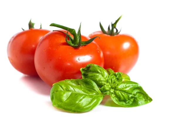 Vegetais de tomate vermelho isolados em fundo branco — Fotografia de Stock